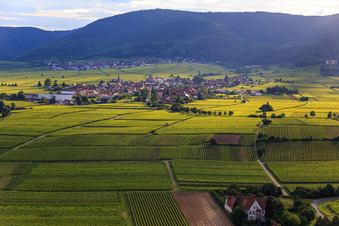 Vue aérienne de Vue de la ville depuis l'est à Rhodt unter Rietburg dans le département Rhénanie-Palatinat, Allemagne