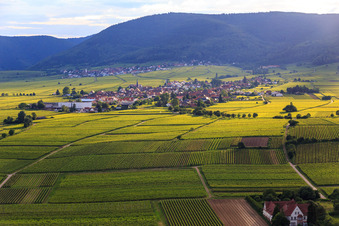Photographie aérienne de Vue de la ville depuis l'est à Rhodt unter Rietburg dans le département Rhénanie-Palatinat, Allemagne