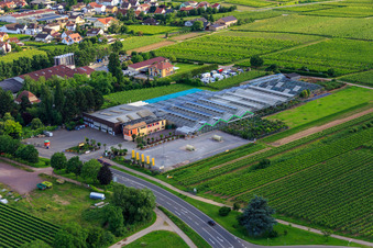 Vue aérienne de Garden Center Edesheim GmbH à Edesheim dans le département Rhénanie-Palatinat, Allemagne
