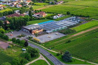 Vue aérienne de Garden Center Edesheim GmbH à Edesheim dans le département Rhénanie-Palatinat, Allemagne