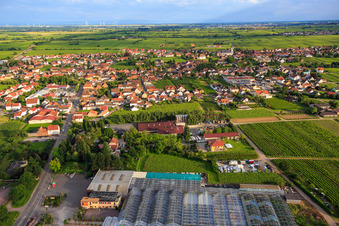 Vue aérienne de Vue du nord avec le centre de jardinage Edesheim GmbH à Edesheim dans le département Rhénanie-Palatinat, Allemagne
