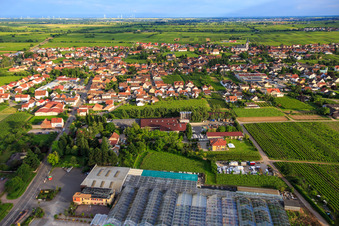 Vue aérienne de Vue du nord avec le centre de jardinage Edesheim GmbH à Edesheim dans le département Rhénanie-Palatinat, Allemagne