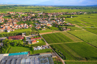 Photographie aérienne de Vue du nord avec le centre de jardinage Edesheim GmbH à Edesheim dans le département Rhénanie-Palatinat, Allemagne