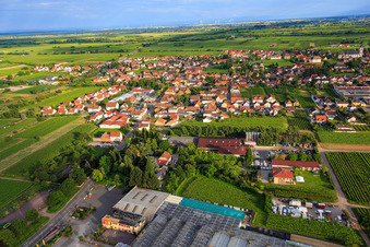 Vue oblique de Vue du nord avec le centre de jardinage Edesheim GmbH à Edesheim dans le département Rhénanie-Palatinat, Allemagne