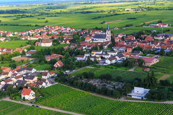 Vue aérienne de Cimetière et Saint-Pierre-et-Paul à Edesheim dans le département Rhénanie-Palatinat, Allemagne