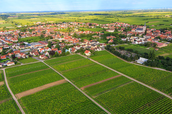 Vue aérienne de Hochgasse à Edesheim dans le département Rhénanie-Palatinat, Allemagne