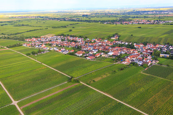 Vue aérienne de Vue de la ville depuis le nord-ouest entre les vignes à Roschbach dans le département Rhénanie-Palatinat, Allemagne
