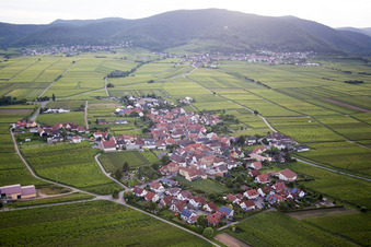 Vue aérienne de Vignobles à Flemlingen dans le département Rhénanie-Palatinat, Allemagne