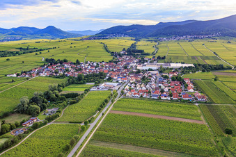 Vue aérienne de Vue du village viticole depuis l'est à Böchingen dans le département Rhénanie-Palatinat, Allemagne
