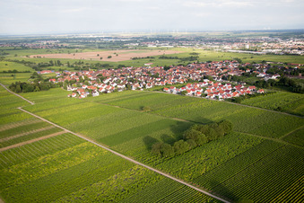 Vue aérienne de Quartier Nußdorf in Landau in der Pfalz dans le département Rhénanie-Palatinat, Allemagne