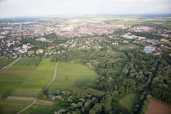 Landau in der Pfalz dans le département Rhénanie-Palatinat, Allemagne vue d'en haut