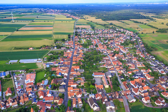 Vue aérienne de Vue d'ensemble du village depuis l'ouest à Minfeld dans le département Rhénanie-Palatinat, Allemagne
