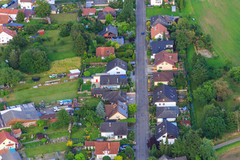 Vue aérienne de Dans le Leisengarten à Minfeld dans le département Rhénanie-Palatinat, Allemagne