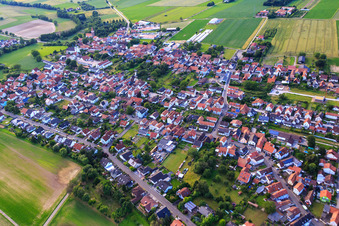 Vue aérienne de Dans la prairie à Minfeld dans le département Rhénanie-Palatinat, Allemagne