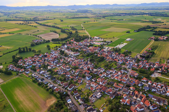 Vue aérienne de Vue d'ensemble du village depuis le sud-est à Minfeld dans le département Rhénanie-Palatinat, Allemagne