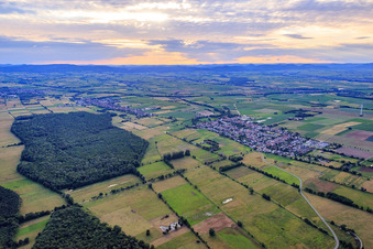 Vue aérienne de Vue d'ensemble du village depuis le sud-est à Minfeld dans le département Rhénanie-Palatinat, Allemagne