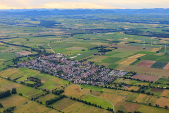 Photographie aérienne de Vue d'ensemble du village depuis le sud-est à Minfeld dans le département Rhénanie-Palatinat, Allemagne