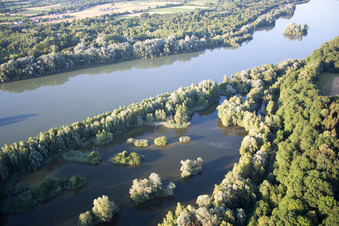 Vue aérienne de Forêt d'Isarau à le quartier Oberhöcking in Landau an der Isar dans le département Bavière, Allemagne