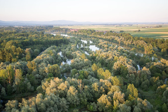Vue aérienne de Prairies de l'Isar à Oberpöring dans le département Bavière, Allemagne