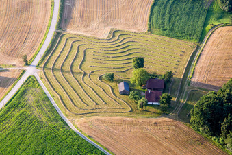 Vue aérienne de Ferme en bordure de prairies fauchées à le quartier Altersberg in Reisbach dans le département Bavière, Allemagne