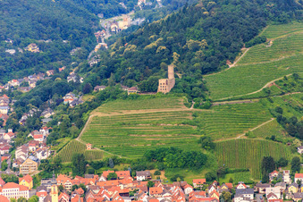 Vue aérienne de Ruines du château de Strahlenburg entre les vignes à Schriesheim dans le département Bade-Wurtemberg, Allemagne