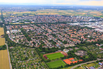 Vue aérienne de Steinhofweg depuis l'est à le quartier Pfaffengrund in Heidelberg dans le département Bade-Wurtemberg, Allemagne