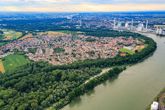 Vue aérienne de Vue de la ville au bord du Rhin depuis le sud à Altrip dans le département Rhénanie-Palatinat, Allemagne