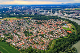 Vue aérienne de Vue de la ville au bord du Rhin depuis le sud à Altrip dans le département Rhénanie-Palatinat, Allemagne