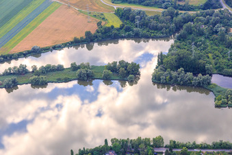 Vue aérienne de Amarrage du bateau SAV Altrip sur le Neuhofener Altrhein à Altrip dans le département Rhénanie-Palatinat, Allemagne