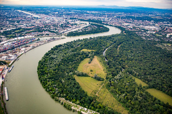 Vue aérienne de Île de Reiss à le quartier Niederfeld in Mannheim dans le département Bade-Wurtemberg, Allemagne