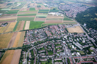 Vue aérienne de Quartier Gartenstadt in Ludwigshafen am Rhein dans le département Rhénanie-Palatinat, Allemagne