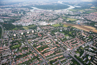Vue oblique de Quartier Gartenstadt in Ludwigshafen am Rhein dans le département Rhénanie-Palatinat, Allemagne