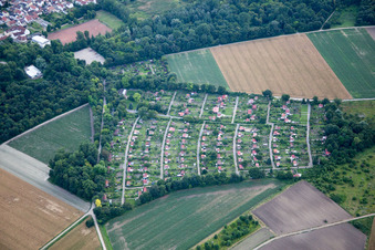 Vue aérienne de Jardin familial à le quartier Maudach in Ludwigshafen am Rhein dans le département Rhénanie-Palatinat, Allemagne