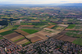 Vue aérienne de Rue Von Ketteler à Mutterstadt dans le département Rhénanie-Palatinat, Allemagne
