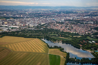 Vue aérienne de BASF de l'ouest à le quartier Friesenheim in Ludwigshafen am Rhein dans le département Rhénanie-Palatinat, Allemagne