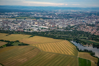 Vue aérienne de BASF de l'ouest à le quartier Friesenheim in Ludwigshafen am Rhein dans le département Rhénanie-Palatinat, Allemagne