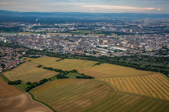 Photographie aérienne de BASF de l'ouest à le quartier Friesenheim in Ludwigshafen am Rhein dans le département Rhénanie-Palatinat, Allemagne