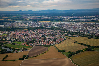 Quartier Oppau in Ludwigshafen am Rhein dans le département Rhénanie-Palatinat, Allemagne vue d'en haut