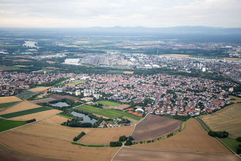 Quartier Oppau in Ludwigshafen am Rhein dans le département Rhénanie-Palatinat, Allemagne depuis l'avion