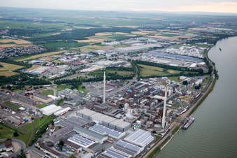 Vue d'oiseau de Worms dans le département Rhénanie-Palatinat, Allemagne