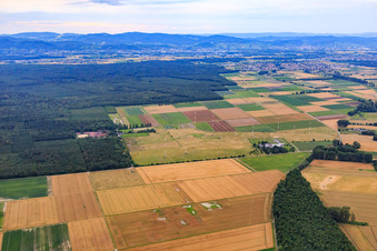 Vue aérienne de Antennes de la station radio IBB Biblis à l'ancien aéroport à Biblis dans le département Hesse, Allemagne