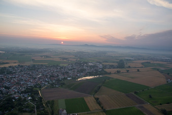 Vue aérienne de Quartier Hofheim in Lampertheim dans le département Hesse, Allemagne