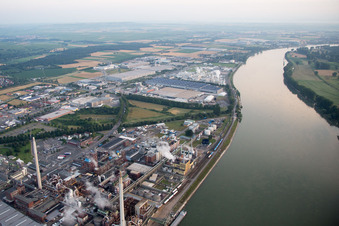 Vue oblique de Synthomer Allemagne à Worms dans le département Rhénanie-Palatinat, Allemagne