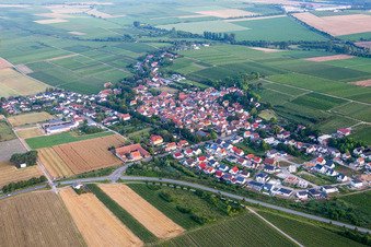 Vue aérienne de Champs agricoles et surfaces utilisables à Hohen-Sülzen dans le département Rhénanie-Palatinat, Allemagne