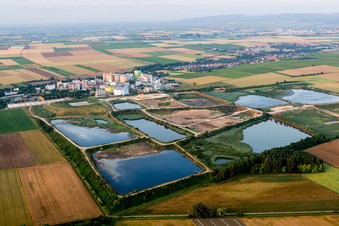Vue aérienne de Site industriel et bassin de décharge de Südzucker AG Mannheim/Ochsenfurt dans le district de Neuoffstein (Palatinat) à Obrigheim dans le département Rhénanie-Palatinat, Allemagne