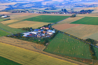 Vue aérienne de Petite zone sur l'aérodrome avec musée de la moto et de la technologie et Agrinova GmbH à Quirnheim dans le département Rhénanie-Palatinat, Allemagne