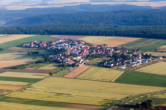 Vue aérienne de Champs agricoles et terres agricoles à Orbis dans le département Rhénanie-Palatinat, Allemagne