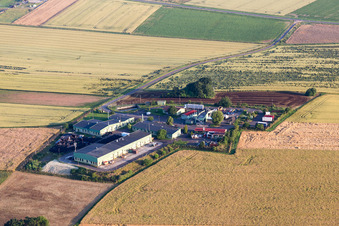 Vue aérienne de Ferme en bordure de champs cultivés à Orbis dans le département Rhénanie-Palatinat, Allemagne