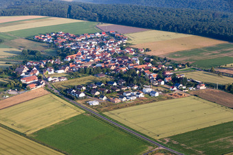 Vue aérienne de Champs agricoles et terres agricoles à Orbis dans le département Rhénanie-Palatinat, Allemagne