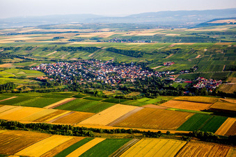 Jugenheim in Rheinhessen